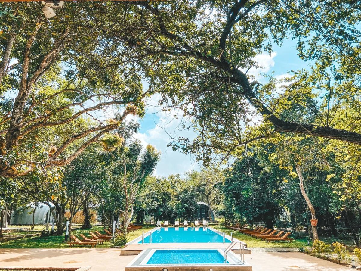 Nivadoo Resort Sigiriya Ngoại thất bức ảnh The swimming pool at the hotel