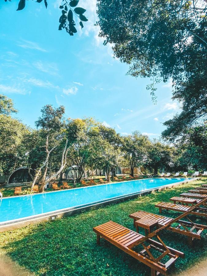 Nivadoo Resort Sigiriya Ngoại thất bức ảnh